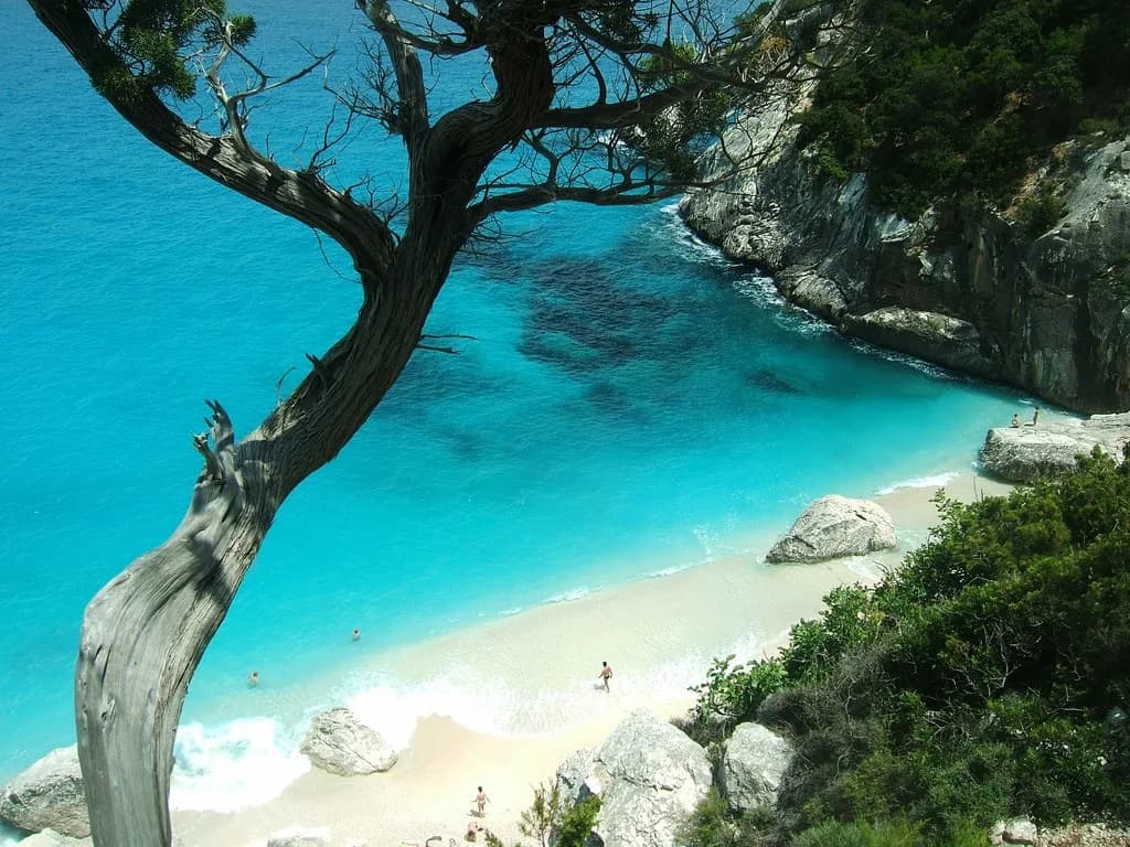 La cala turchese di Cala Goloritzé vista tra gli alberi