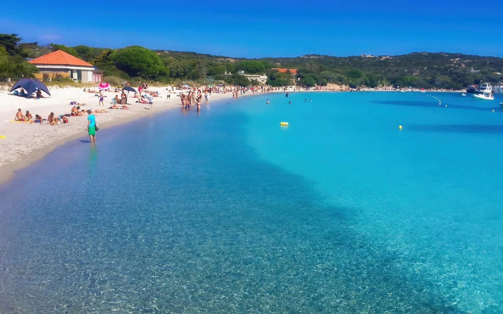 Acqua turchese lungo la spiaggia sabbiosa di La Pelosa, Sardegna