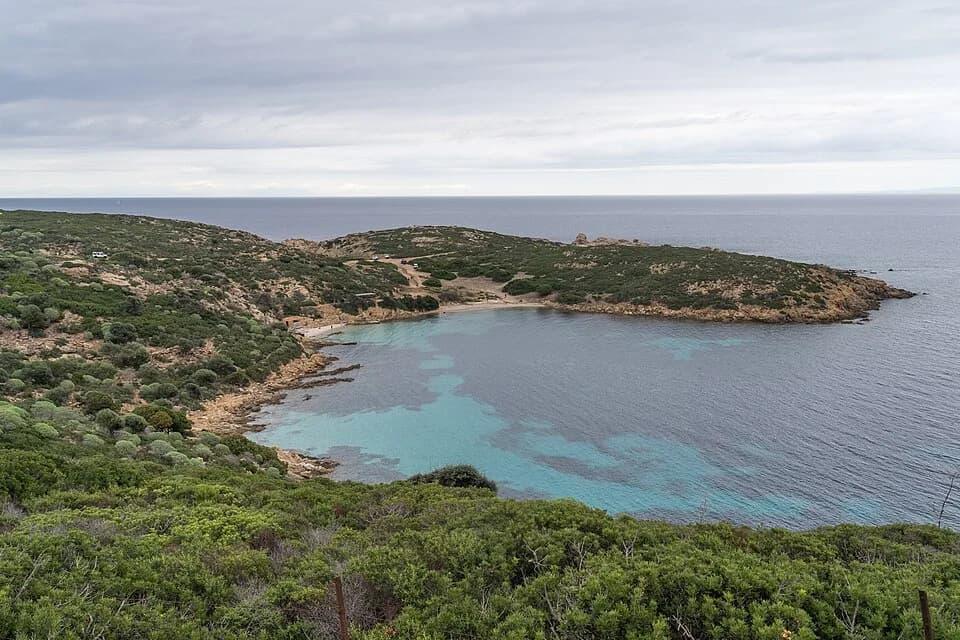 Asinara