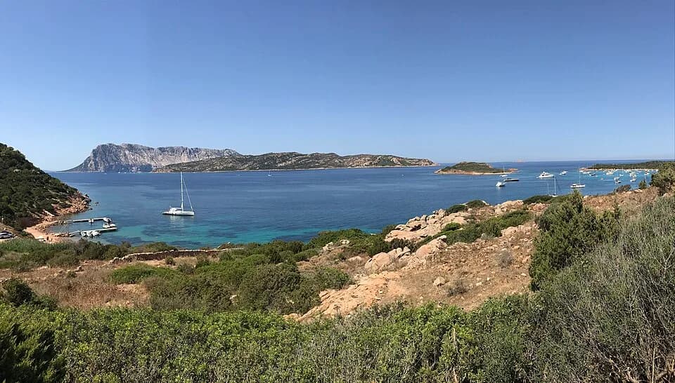 Capo Coda Cavallo