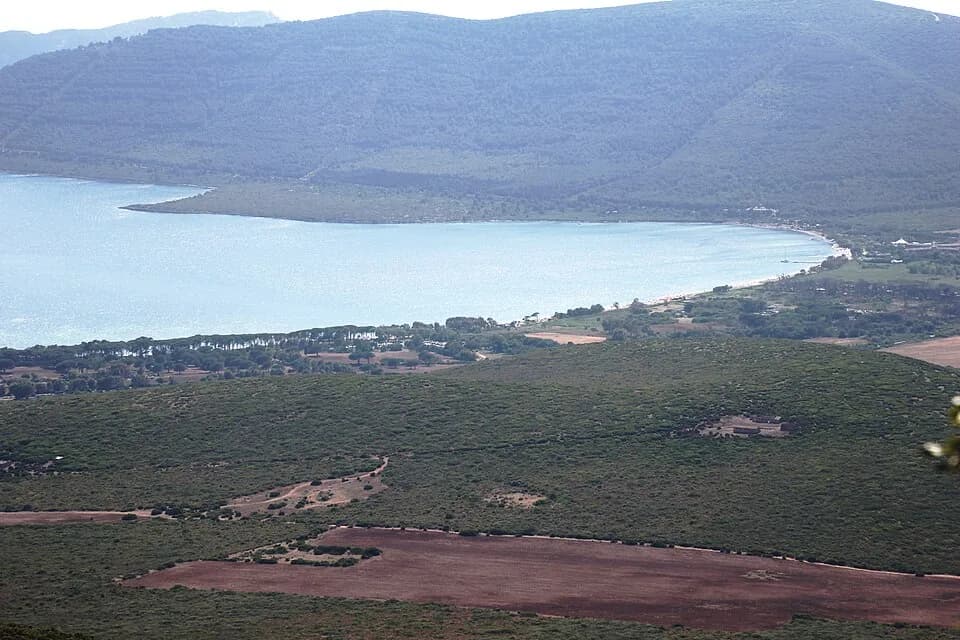 Mugoni
