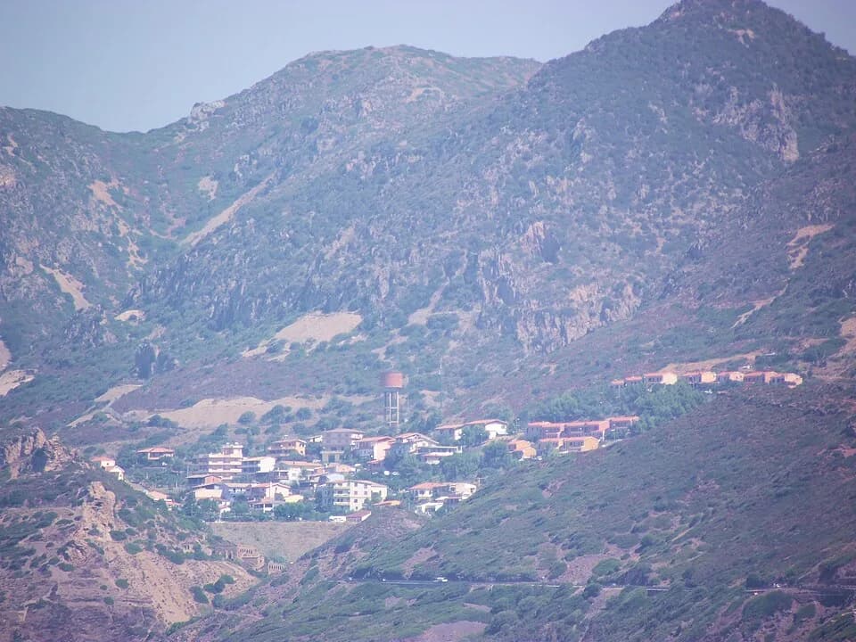 Nebida